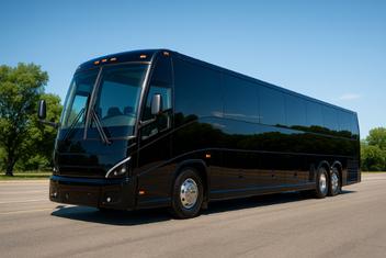 Rochester Ada Buses