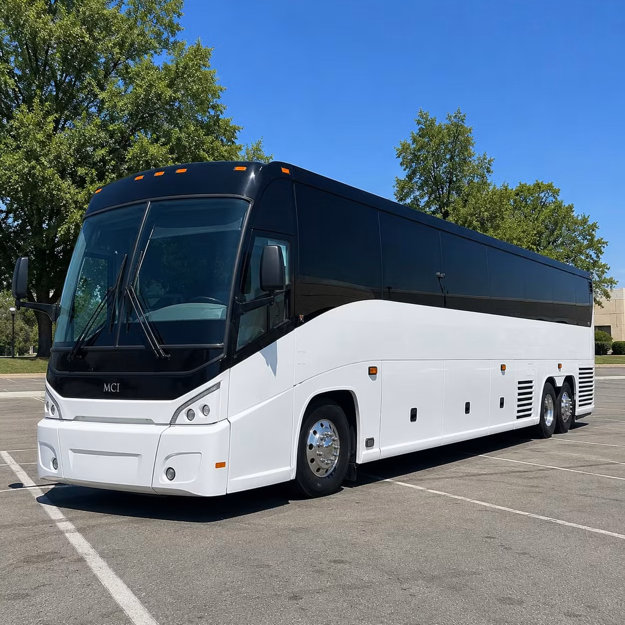 medical group and mayo clinic long distance transportation out of rochester